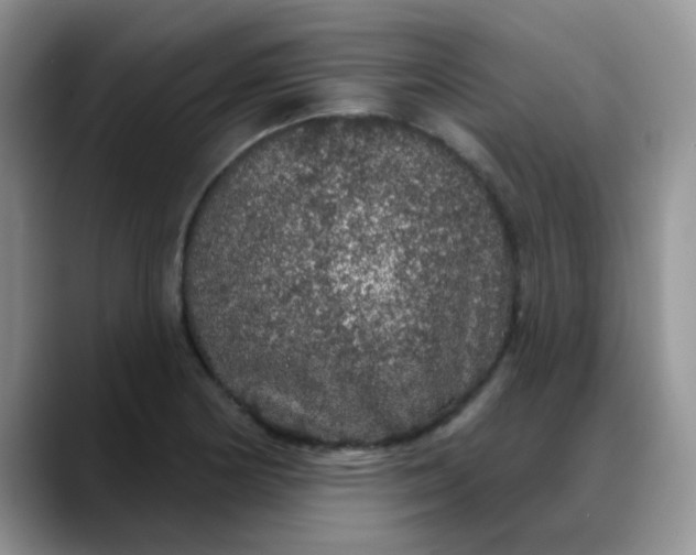X0000088181178200705291946