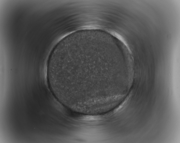 X0000088181179200705291946