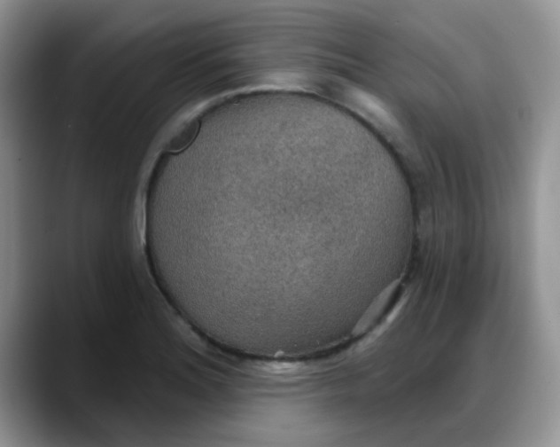 X0000088181180200705291946