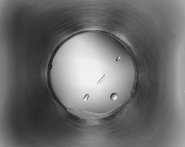 X0000088181181200705291946