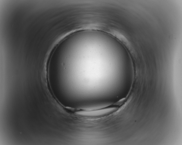 X0000088181184200705291946