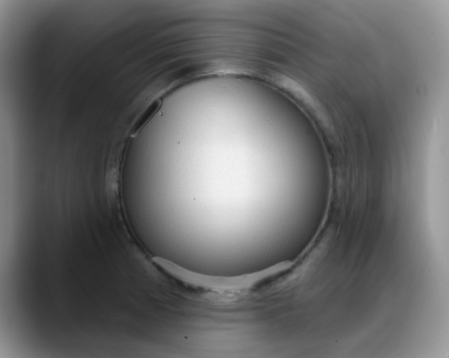 X0000088181185200705291946