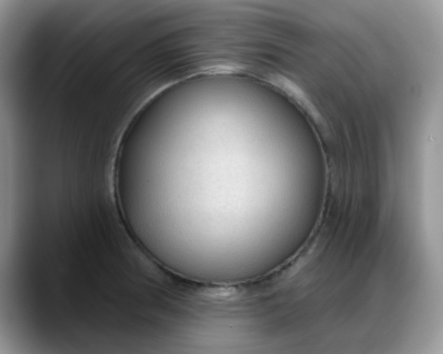X0000088181186200705291946