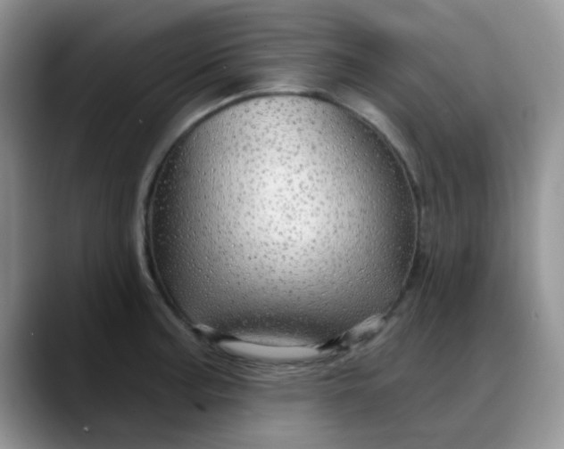 X0000088181187200705291946