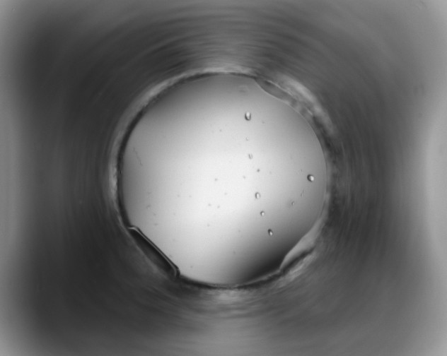 X0000088181188200705291946