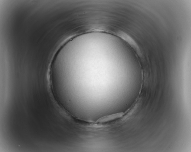 X0000088181190200705291946