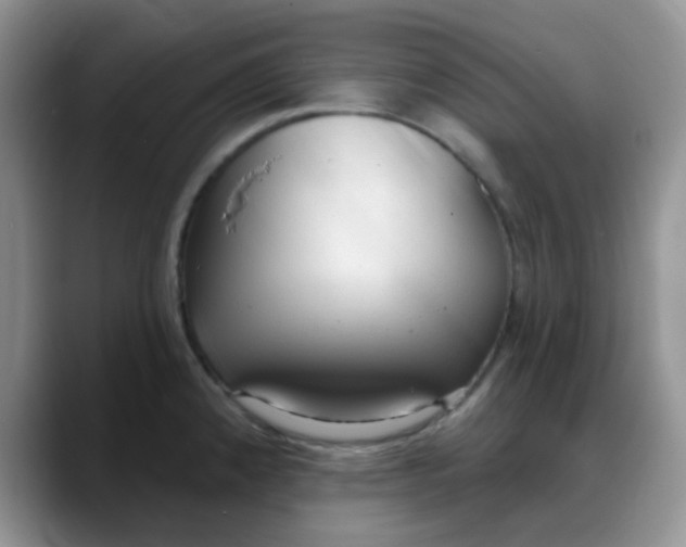 X0000088181192200705291946