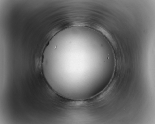 X0000088181193200705291945