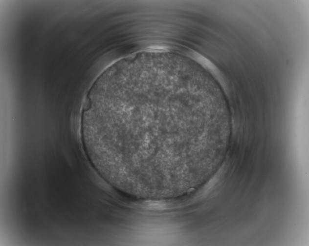 X0000088181194200705291945