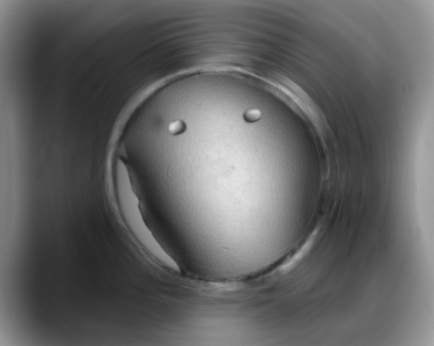 X0000088181196200705291945