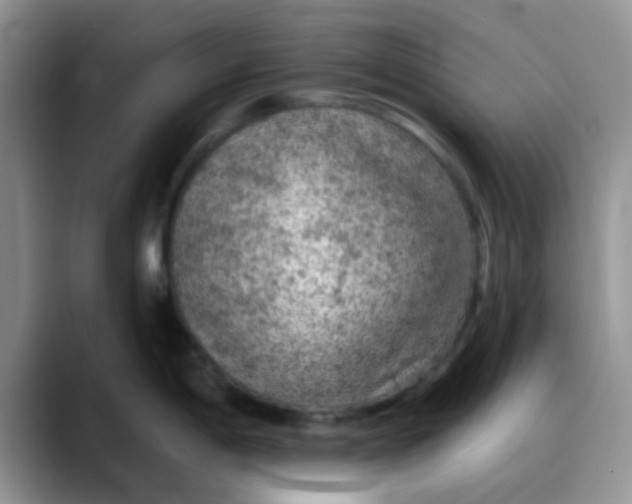 X0000088181198200705291945