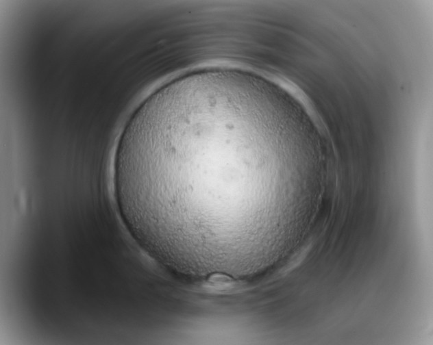 X0000088181199200705291945