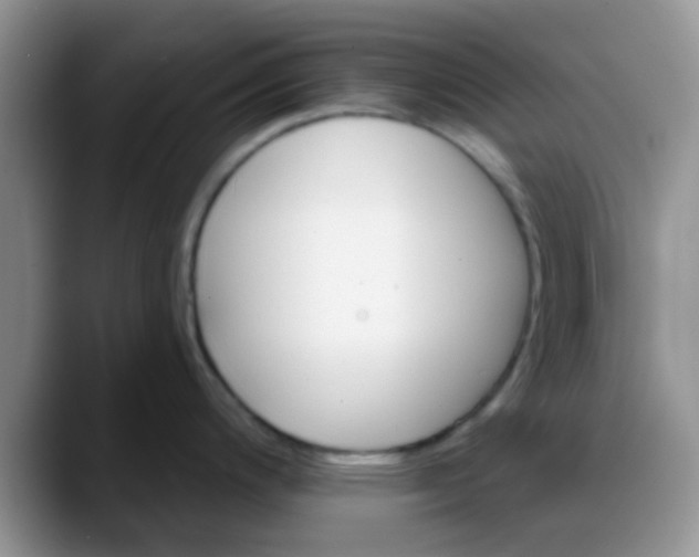 X0000088181200200705291945