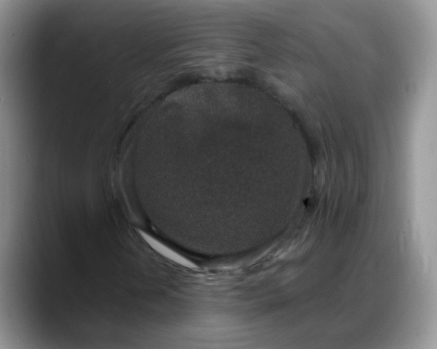 X0000088181202200705291945
