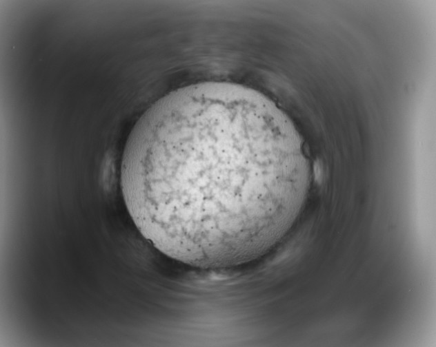 X0000088181203200705291945