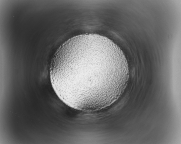 X0000088181204200705291945
