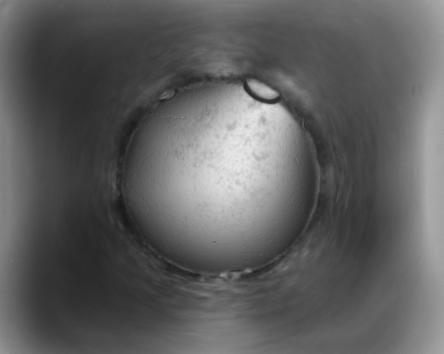 X0000088181205200705291945