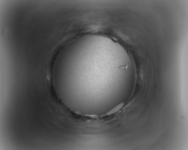 X0000088181206200705291945