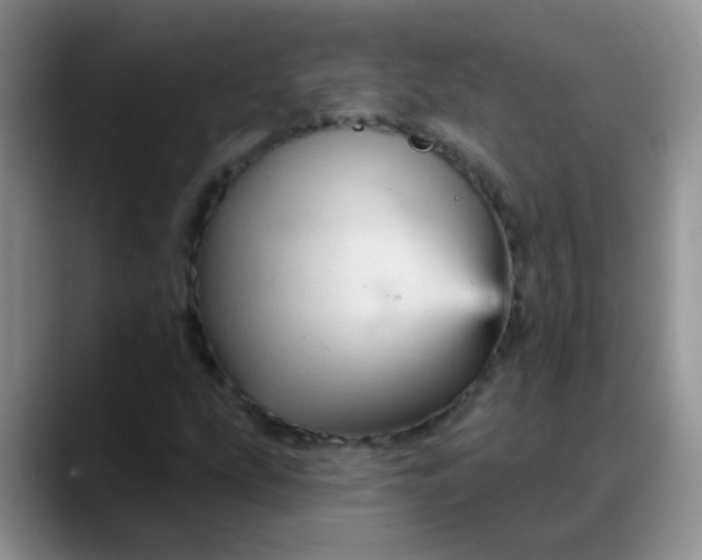 X0000088181207200705291945