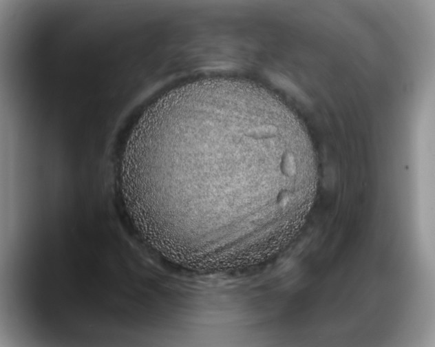 X0000088181208200705291945