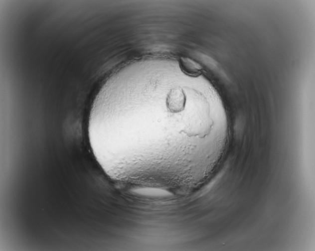 X0000088181209200705291945