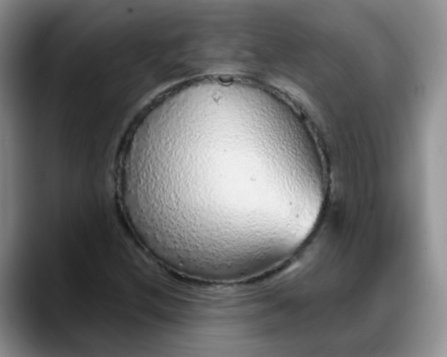 X0000088181212200705291945
