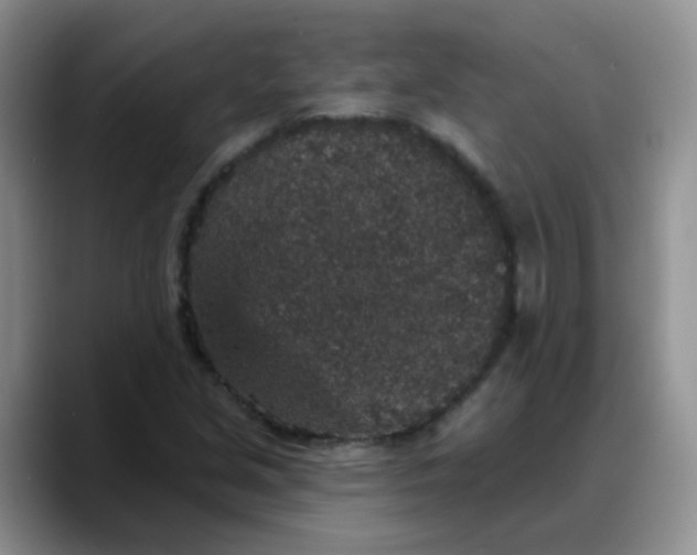 X0000088181213200705291945