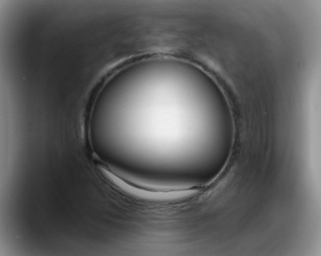 X0000088181214200705291945
