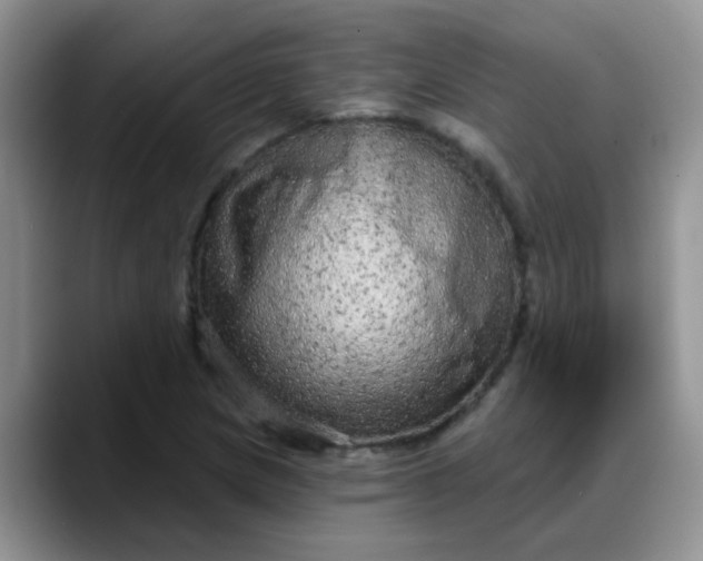 X0000088181217200705291945