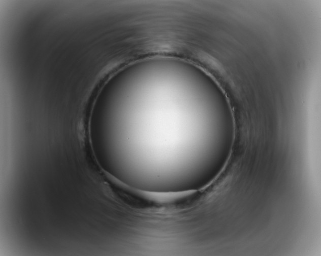 X0000088181218200705291945
