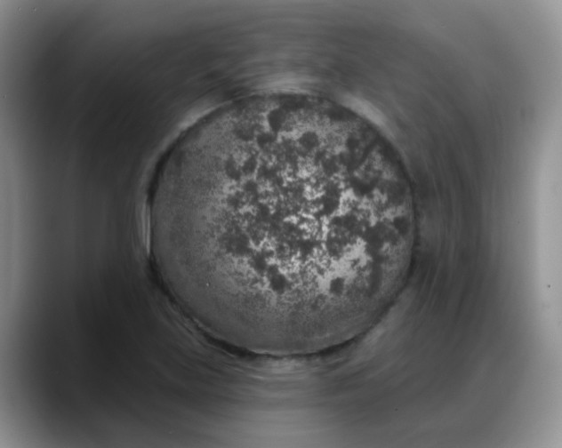 X0000088181219200705291945