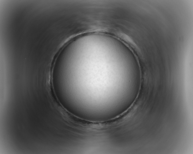 X0000088181220200705291945
