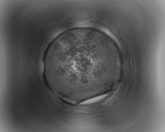 X0000088181221200705291945