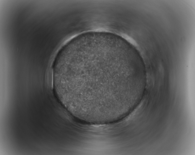 X0000088181223200705291945