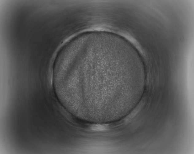 X0000088181224200705291945