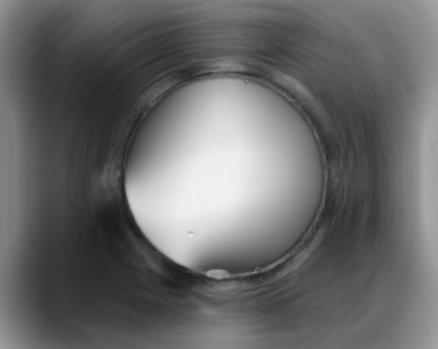 X0000088181225200705291945