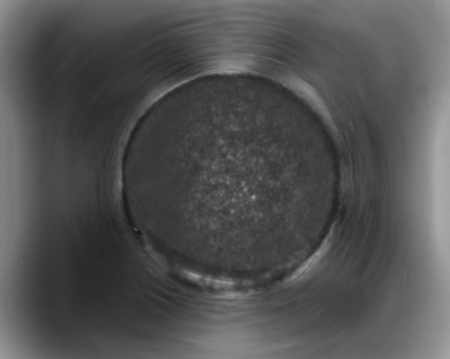 X0000088181226200705291945