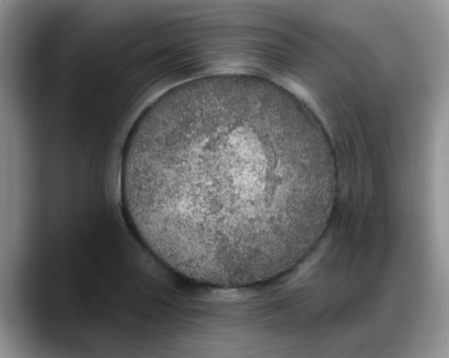 X0000088181227200705291945