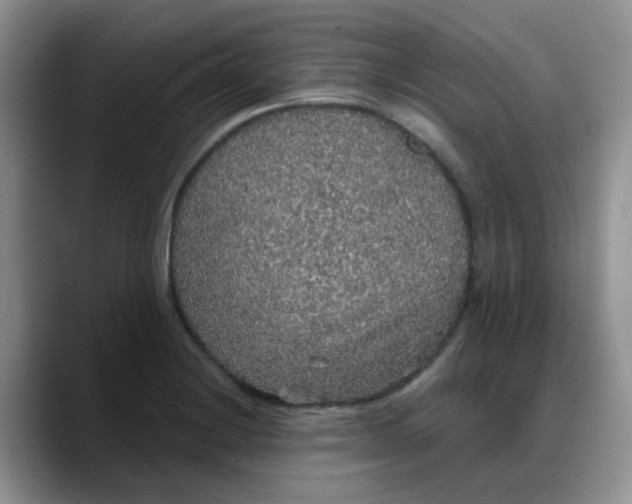 X0000088181228200705291945