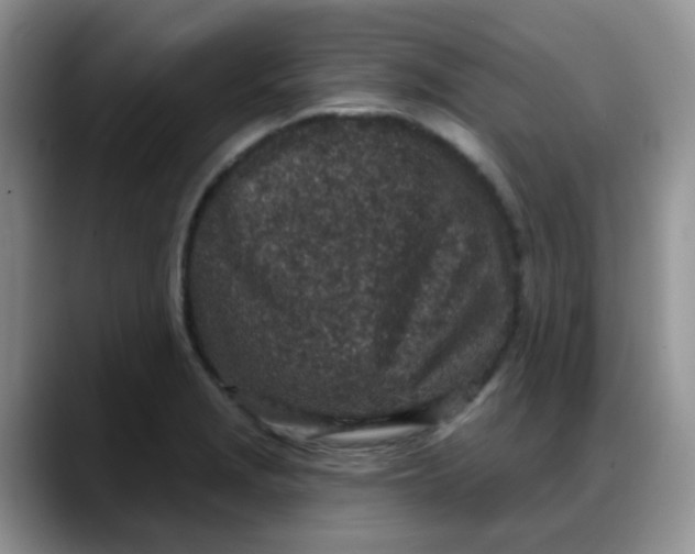 X0000088181229200705291945