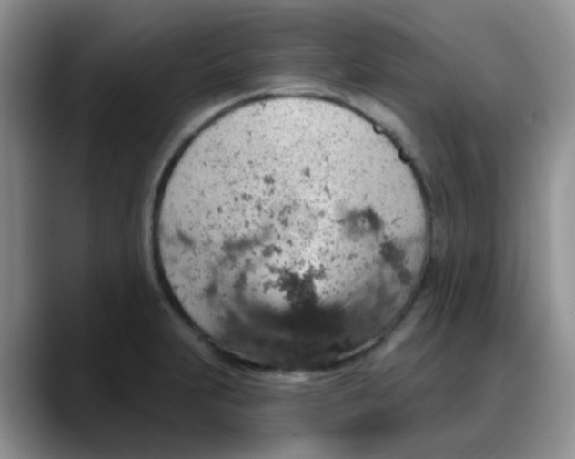 X0000088181231200705291945