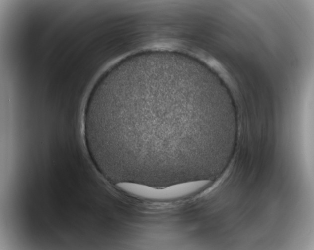 X0000088181232200705291945