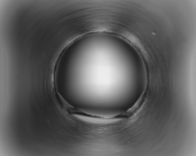 X0000088181234200705291945