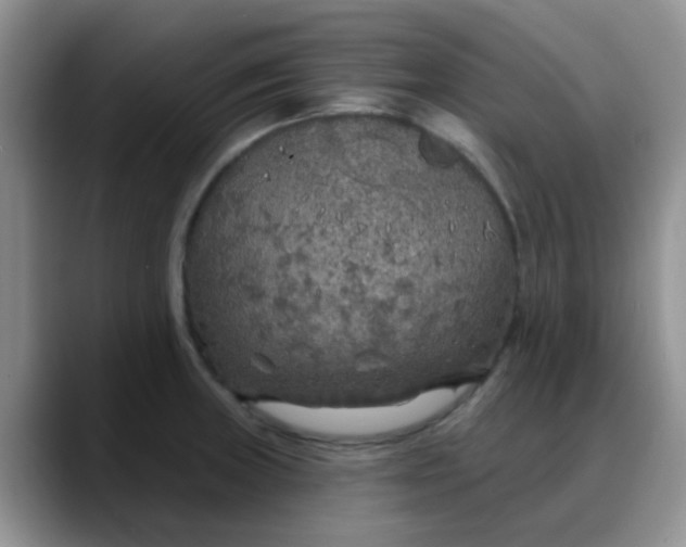 X0000088181235200705291945
