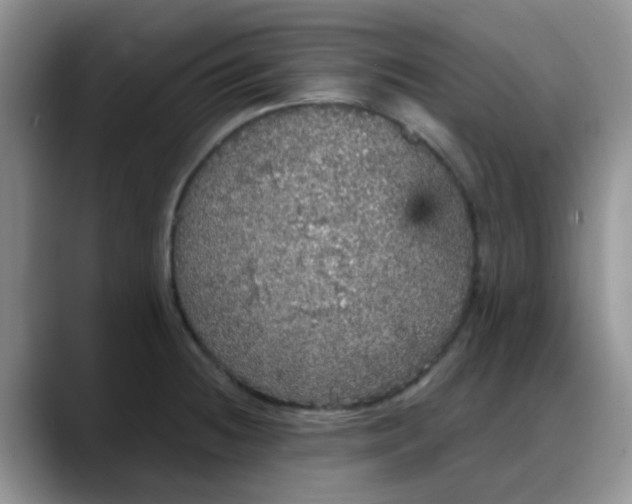 X0000088181236200705291945