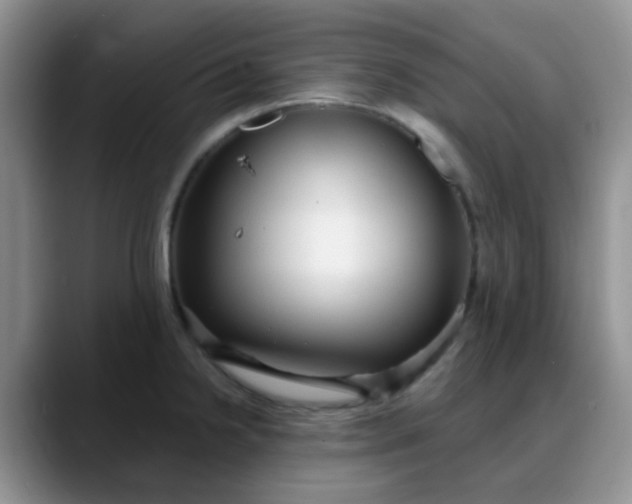 X0000088181238200705291945