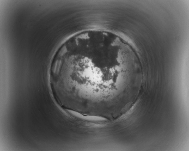 X0000088181239200705291945