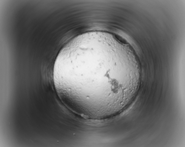 X0000088181241200705291945