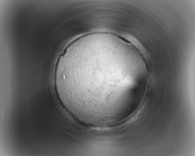 X0000088181244200705291945