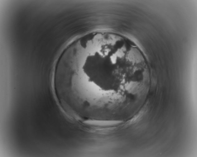 X0000088181245200705291945
